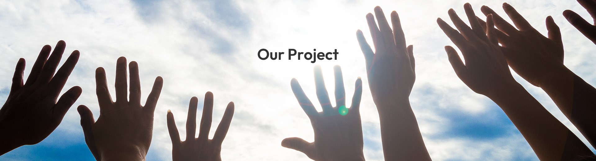 Our Project