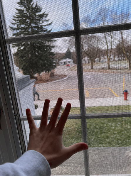 Ariana Heidarpour Meymeh