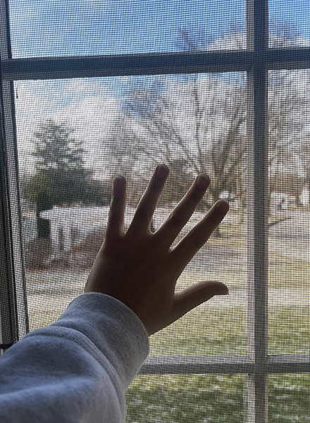 Nanami Fukamachi-Jones