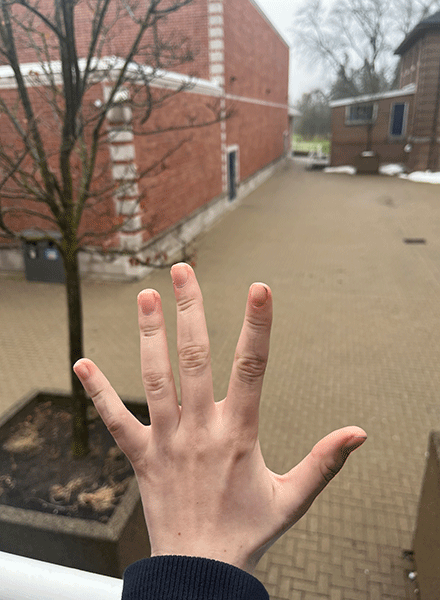 Sienna Sexsmith-Brosseau